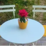 Appartamento Le Cocoon Doré *
