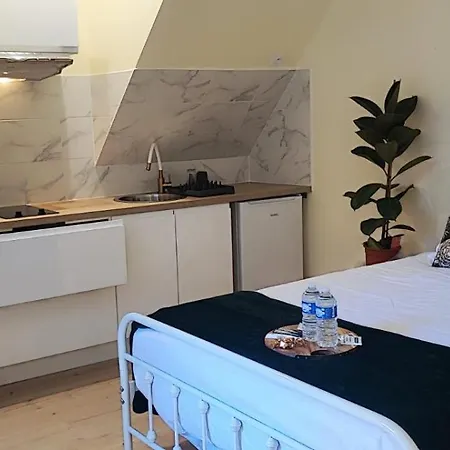 Le Cocoon Dore Apartment Poitiers