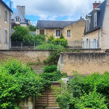 Le Cocoon Dore * Poitiers