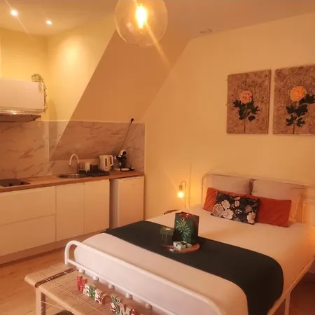 Le Cocoon Dore * Poitiers