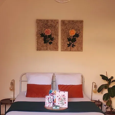 Le Cocoon Dore Poitiers