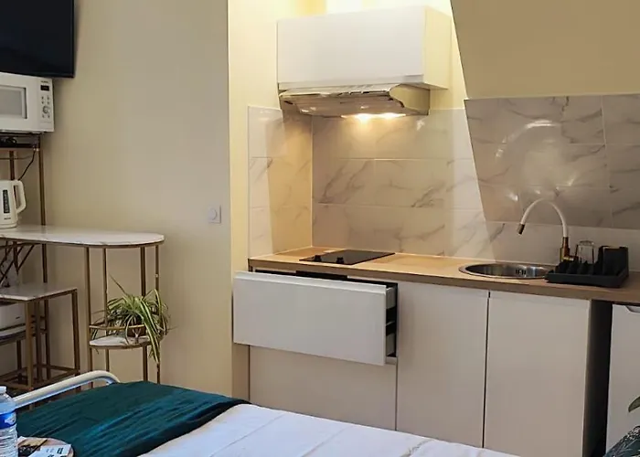 Le Cocoon Dore Apartman Poitiers