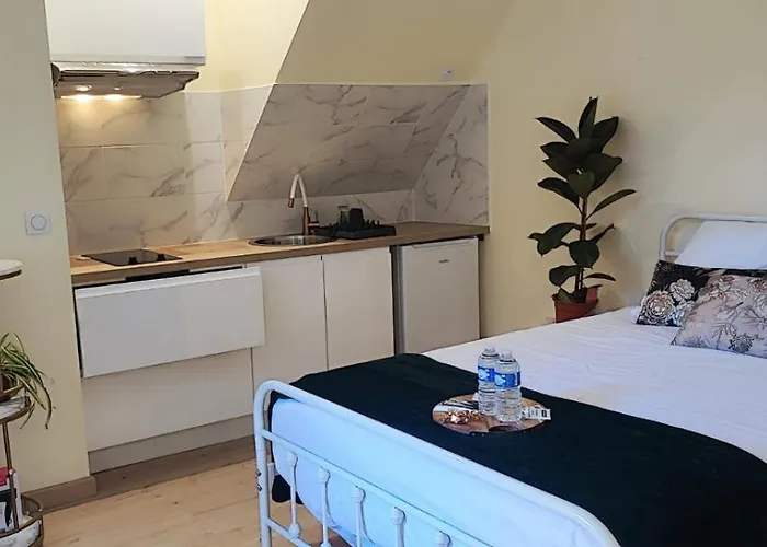 Le Cocoon Dore Apartman Poitiers