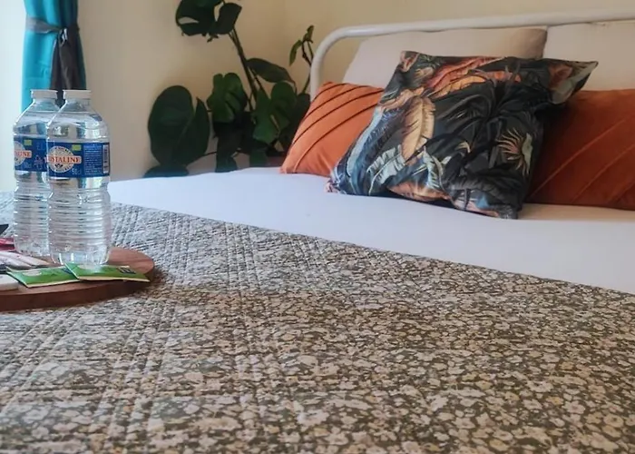 Le Cocoon Dore Apartman Poitiers