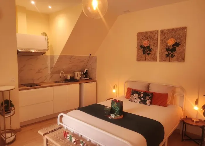 Le Cocoon Dore * Poitiers