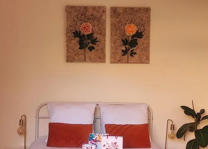 Le Cocoon Dore ポアティエ